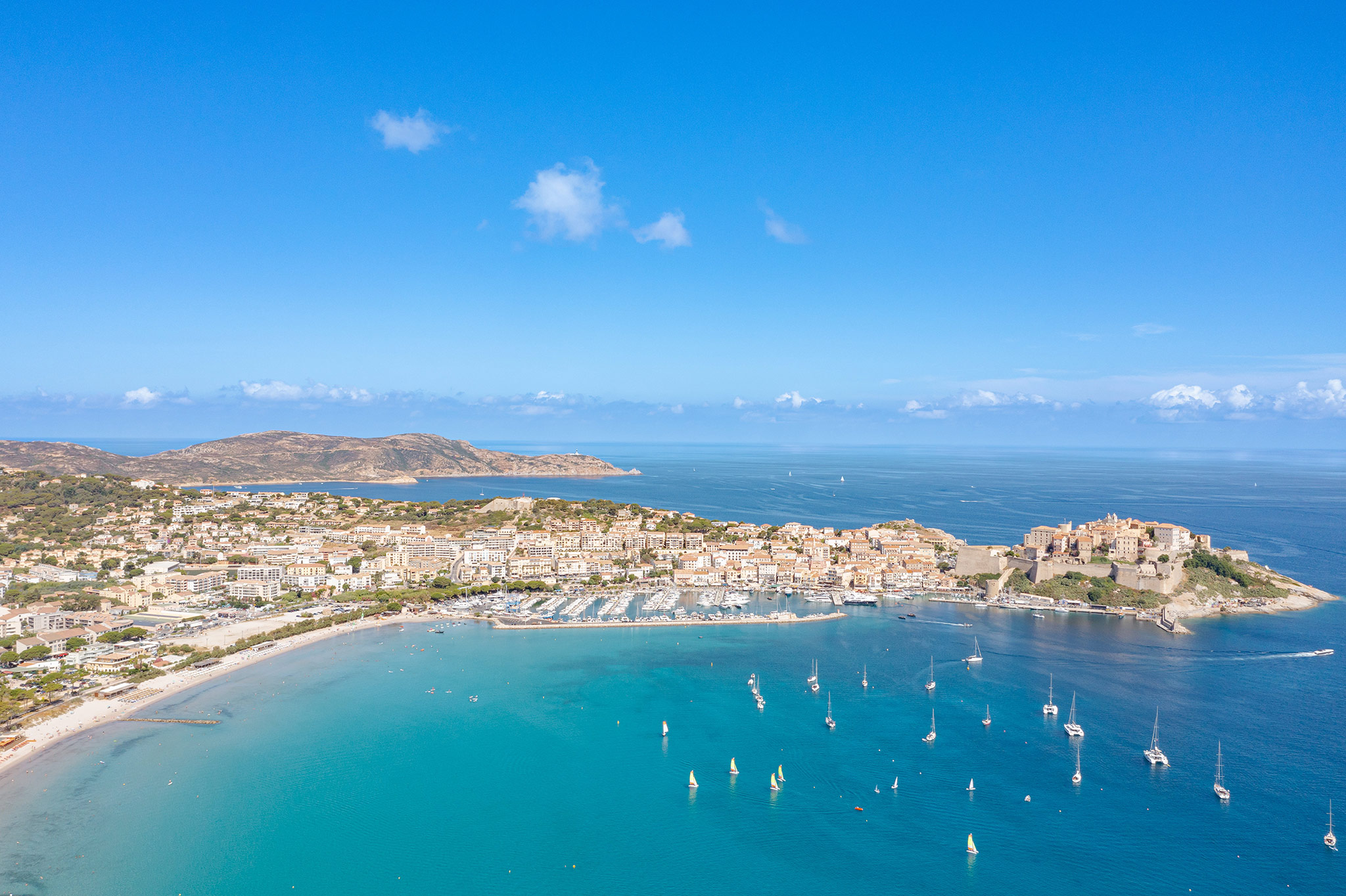 Calvi